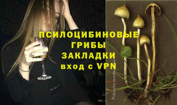 стаф Протвино