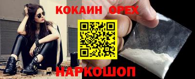 кокс Гатчина