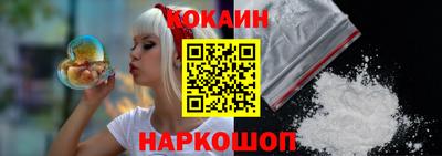 кокс Гатчина
