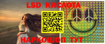 кокс Гатчина