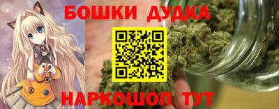кокс Гатчина
